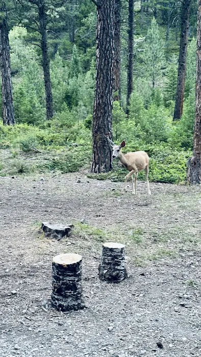 Kings Hill Campground Picture 9