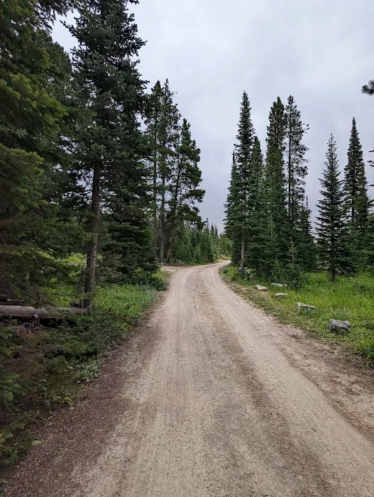 Kings Hill Campground Picture 6