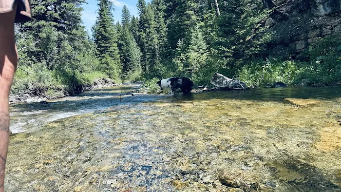 Kings Hill Campground Picture 8