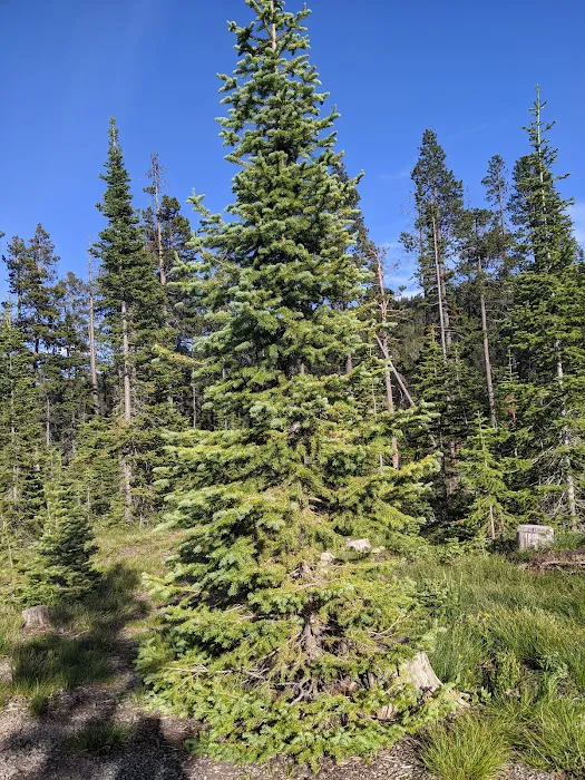 Kings Hill Campground Picture 10