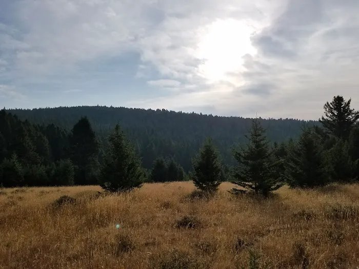 Spring Creek Campground Picture 5