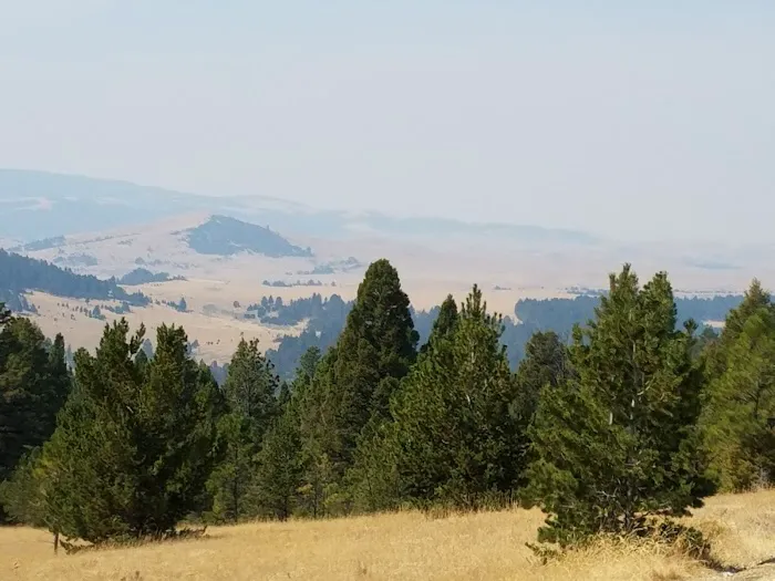 Spring Creek Campground Picture 6