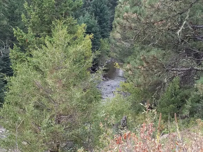 Spring Creek Campground Picture 3