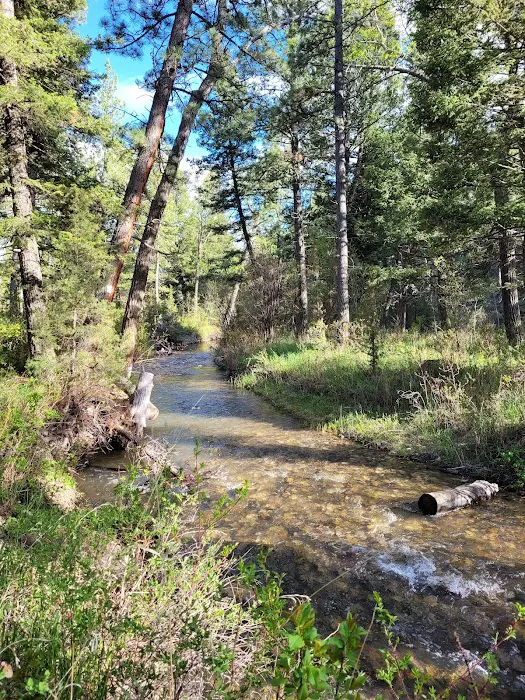 Spring Creek Campground Picture 2