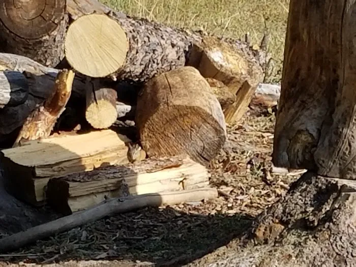 Spring Creek Campground Picture 10