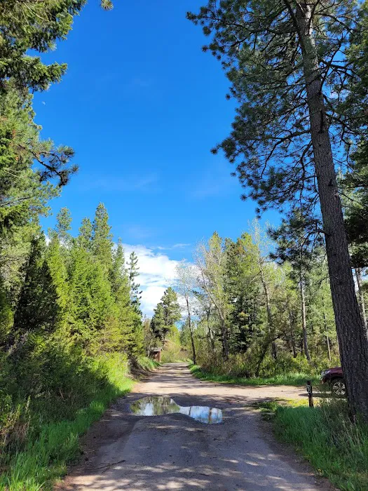 Spring Creek Campground Picture 1