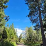 Spring Creek Campground