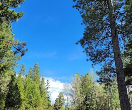 Spring Creek Campground