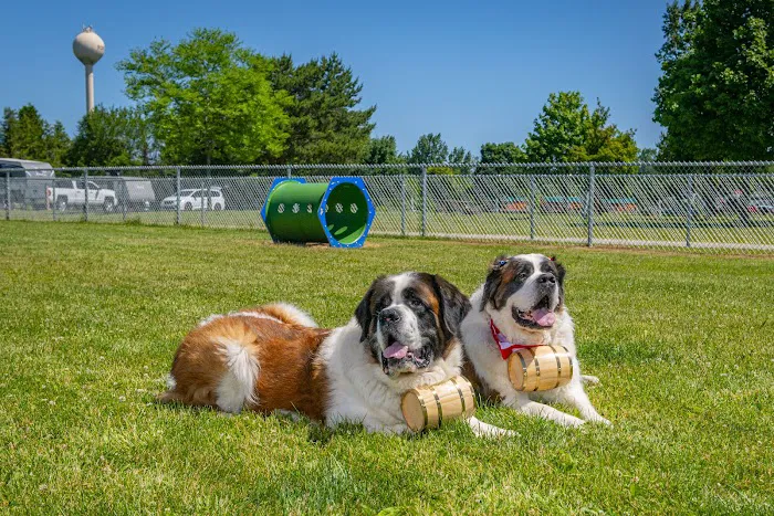 Whitetail Camp Campground Picture 4