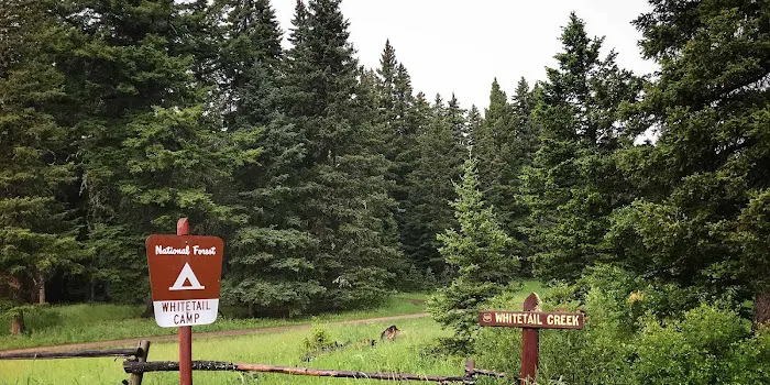 Whitetail Camp Campground Picture 7