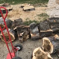 Basin Cr Dispersed Campground ico