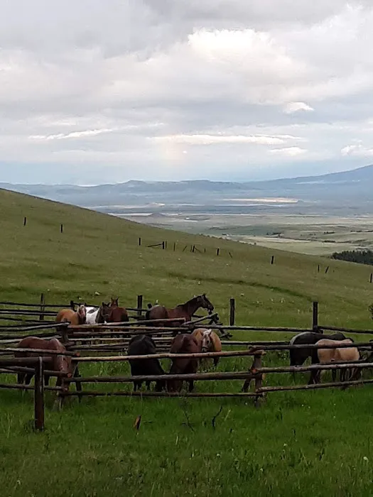 Daisy Dean Camp Campground Picture 2