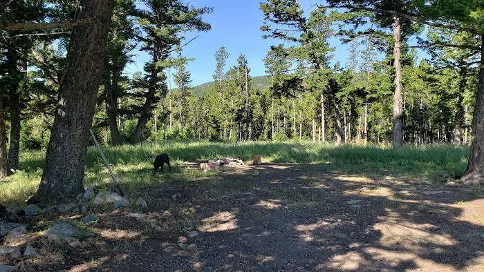 Daisy Dean Camp Campground Picture 4