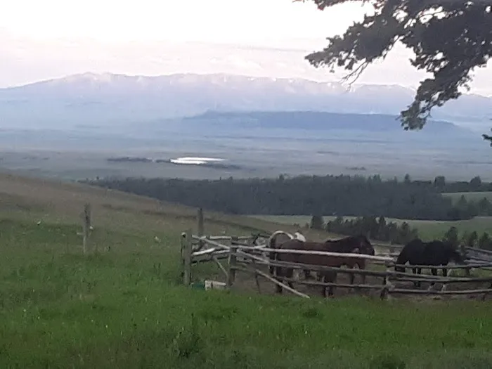 Daisy Dean Camp Campground Picture 1