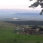 Daisy Dean Camp Campground