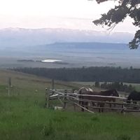 Daisy Dean Camp Campground ico