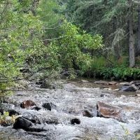 Many Pines Campground ico