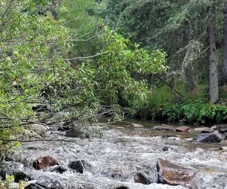 Many Pines Campground