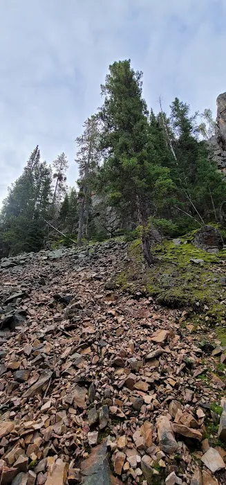 Many Pines Campground Picture 2