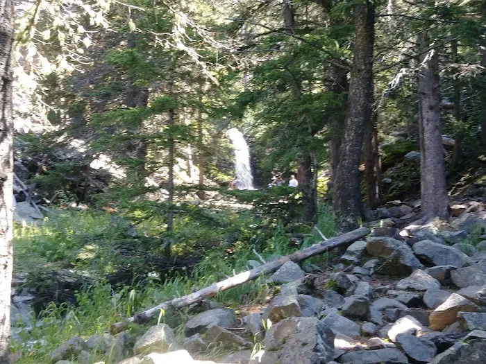 Many Pines Campground Picture 9