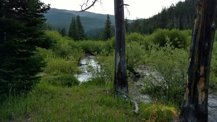 Many Pines Campground Picture 10