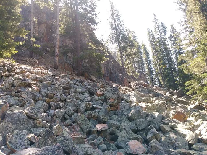 Many Pines Campground Picture 4