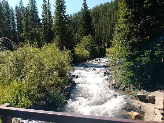 Many Pines Campground Picture 5