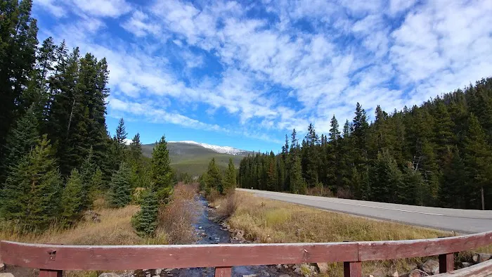 Many Pines Campground Picture 6