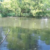 River Pointe Mobile Home Community ico