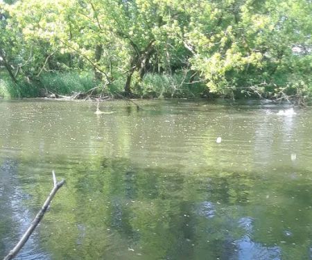 River Pointe Mobile Home Community