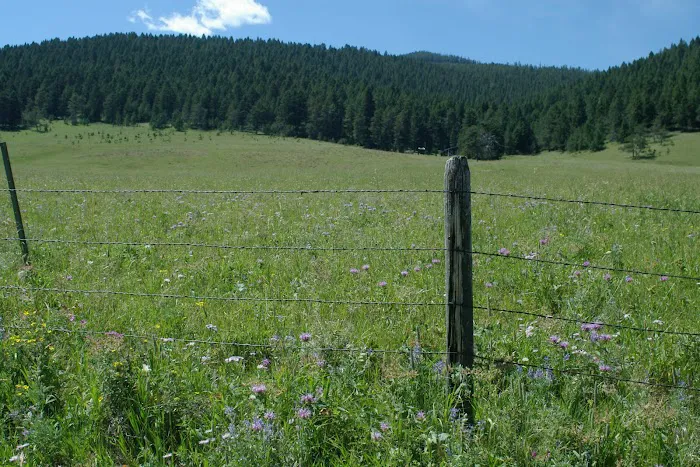 Dry Wolf Campground Picture 7