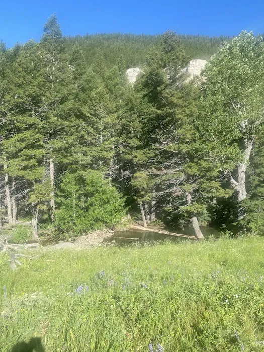 Dry Wolf Campground Picture 3