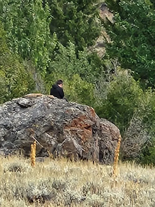 Iron Bog Campground Picture 4