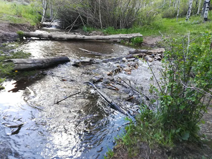 Bear Creek Campground Picture 4