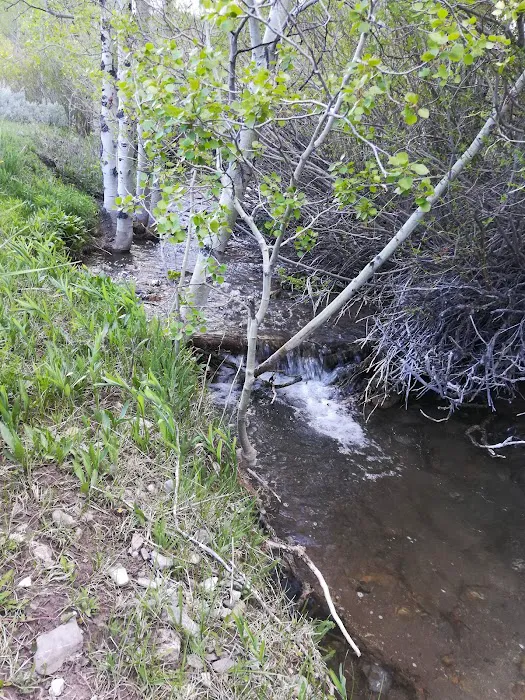 Bear Creek Campground Picture 2