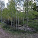 Bear Creek Campground