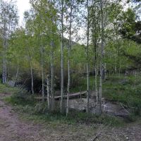 Bear Creek Campground ico