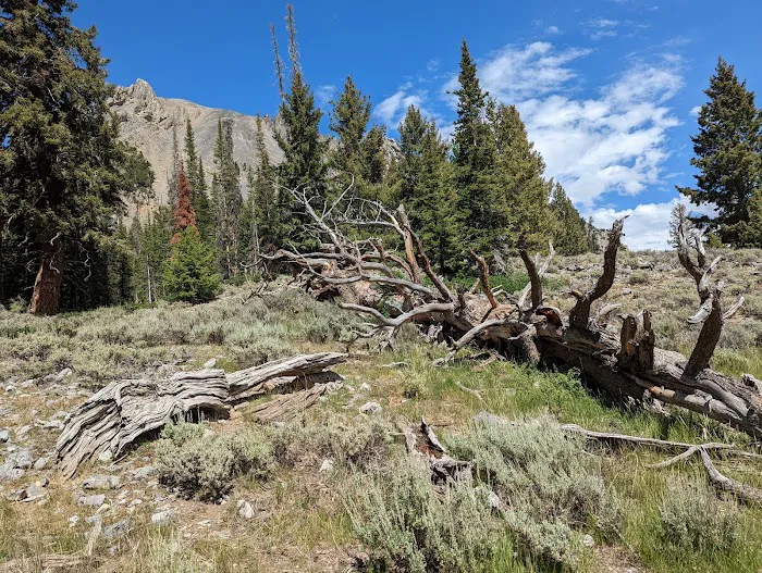 Bear Creek Campground Picture 7