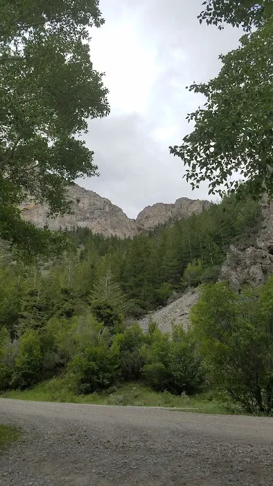 Pass Creek Narrows Picnic Site Picture 2