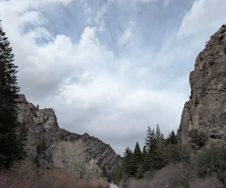 Pass Creek Narrows Picnic Site