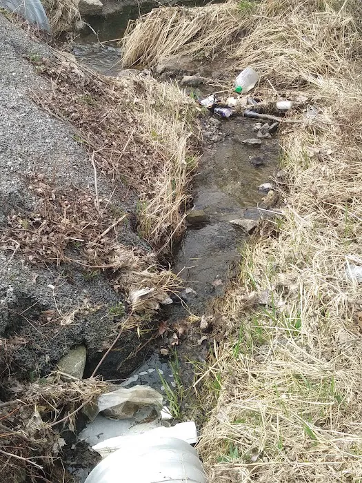 Pheasant Lake Estates Picture 8