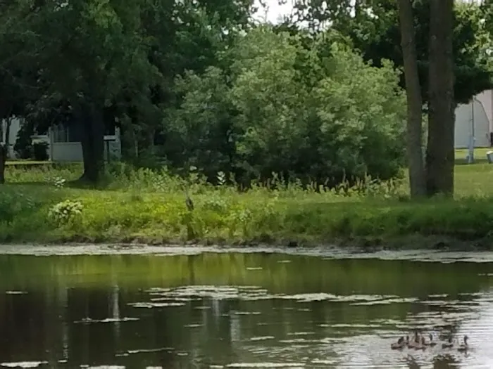 Pheasant Lake Estates Picture 6