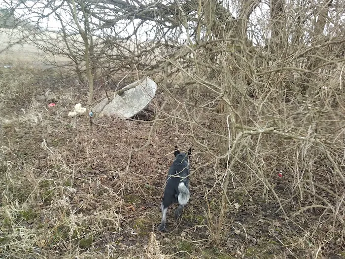 Pheasant Lake Estates Picture 5