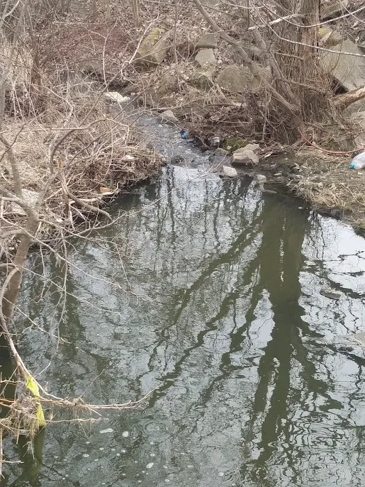 Pheasant Lake Estates Picture 2