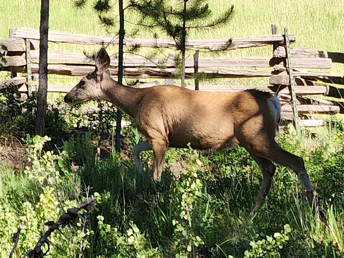 Antlers Guard Station Picture 3