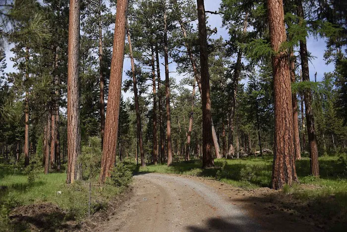 Yellow Pine Campground Picture 3