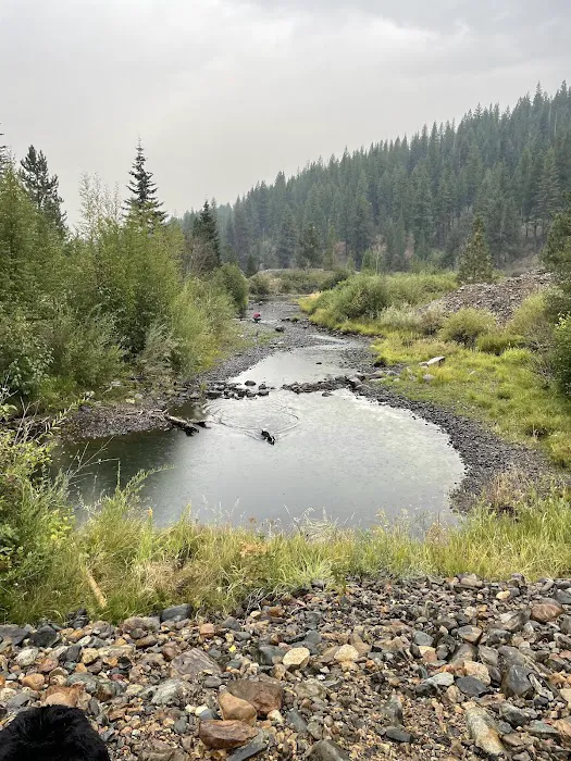 Yellow Pine Campground Picture 2