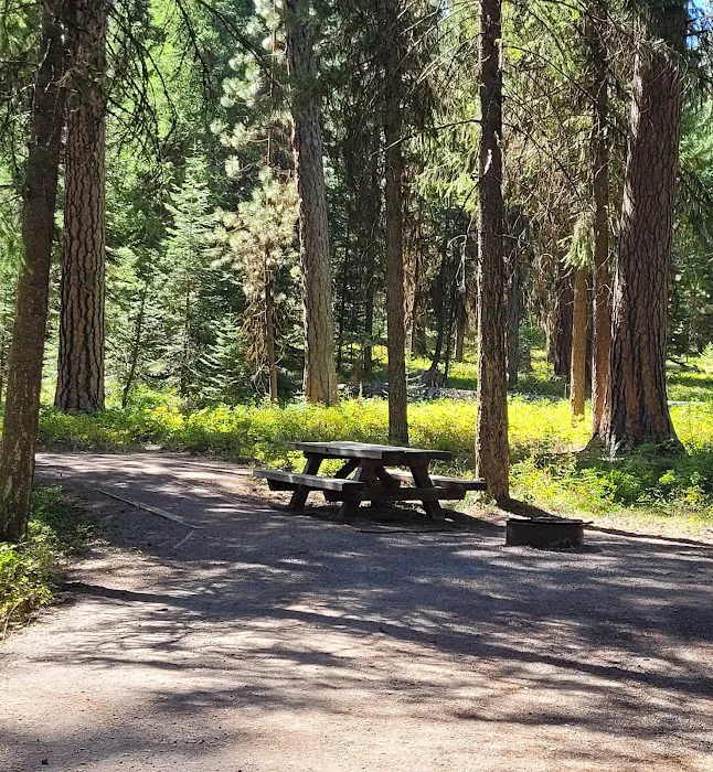 Yellow Pine Campground Picture 5