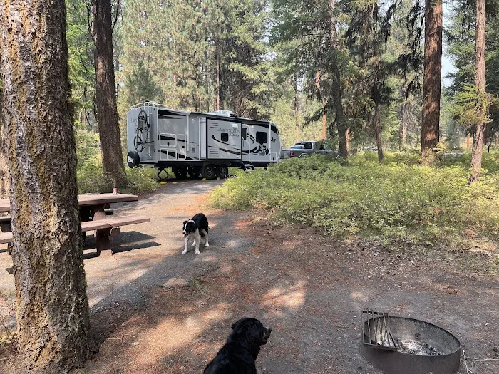 Yellow Pine Campground Picture 1