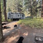 Yellow Pine Campground
